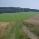 fotografie